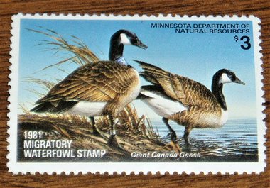 Duck Hunting Stamp, Minnesota MN5, Canada Geese, 1981, Additional Stamps Ship Free