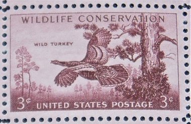 Mint 3c Stamp Sheet, Wildlife Conservation Wild Turkey, Scott Catalog #1077 x 50 Stamps