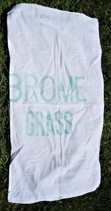 Seed Sack Towel, Brome Grass