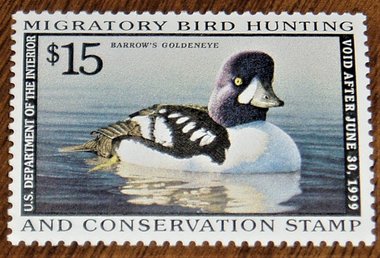 Federal Duck Stamp RW65, Very Fine, Never Hinged