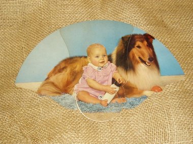 Tri-Fold Advertising Fan, Baby & Collie, Royal Neighbors of America Insurance
